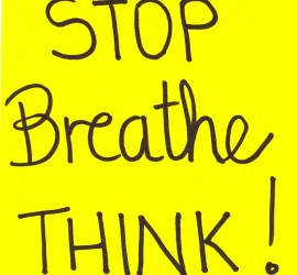 Stop Breathe Think 2