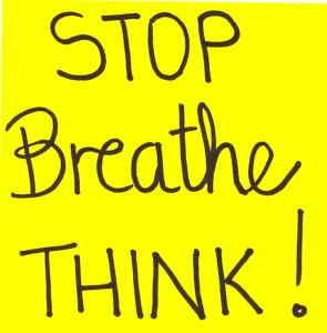 Stop Breathe Think 2