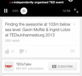 TEDxJoburg - screen shot